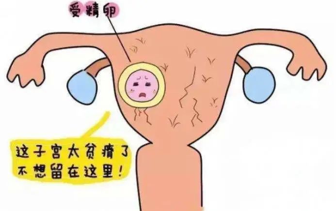 赠卵试管婴儿如何防止274种遗传病传给下一代？