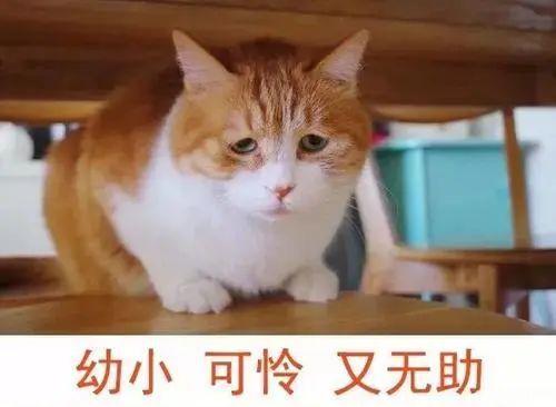 2022年医院供卵试管婴儿的流程是什么