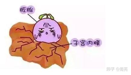 北京供卵试管婴儿医院排名的依据是什么？