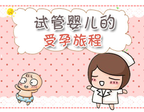 我在免疫性不孕的第三个月准备做供卵试管代怀了!