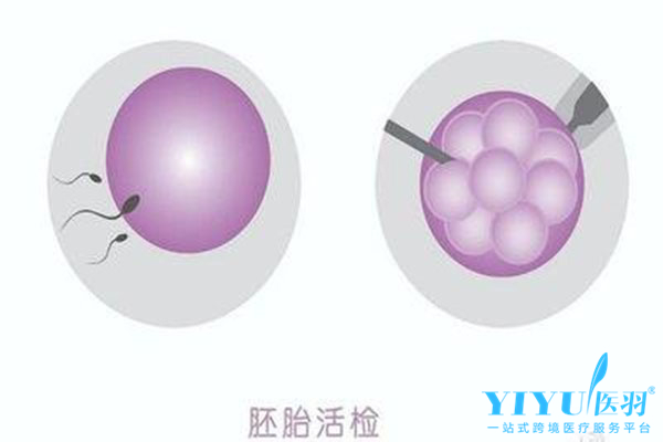 供卵做试管需要多少天才能成功？供卵代怀做供卵试管的过程需要多长时间？
