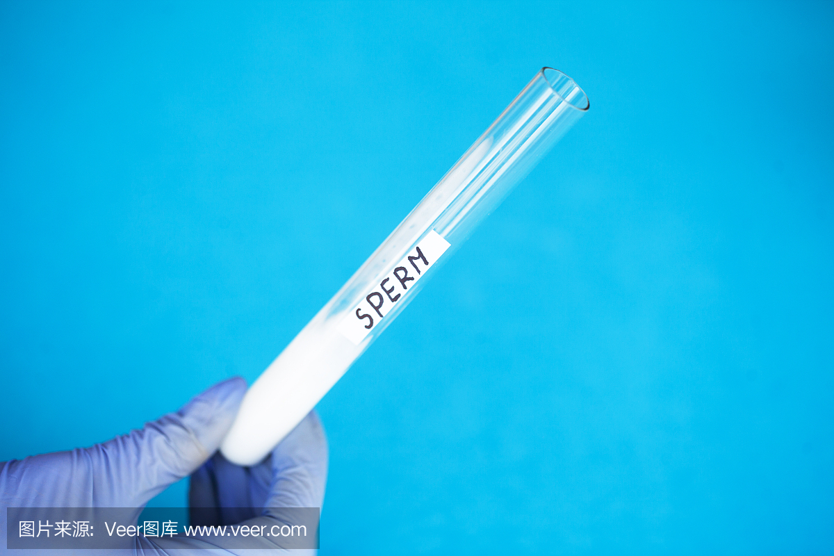 卵子库借精供卵咨询图片，小骡子找妈妈的故事