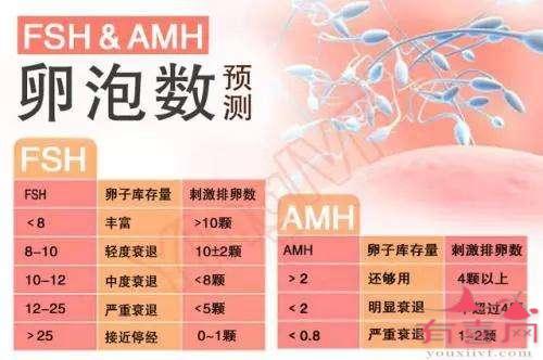 为什么借卵公立代怀试管技术容易怀上双胞胎，为什么千万不要做借卵代怀三代试管（哪里代生的男孩多）？