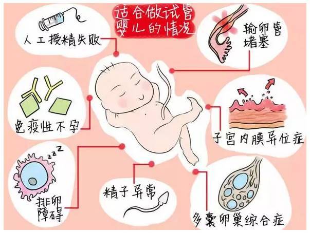 我可以做多少次供卵做生子自怀试管？次数有限制吗？