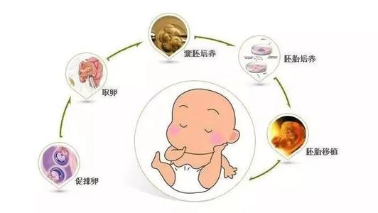 在美国做供卵代怀试管供卵是不是很痛苦？通过这两种方式来了解吧!