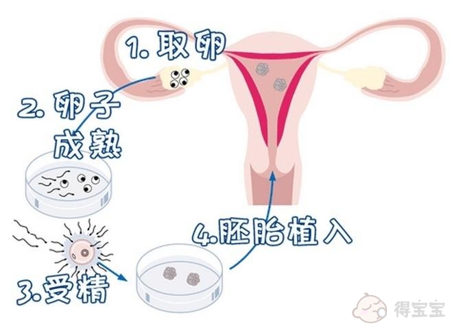 借卵助孕代怀试管出现耳聋的概率高吗？