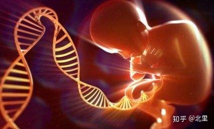 借卵供卵代怀机构的孩子健康吗