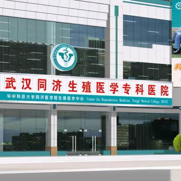 美国第三代供卵自怀试管供卵成功率怎么样