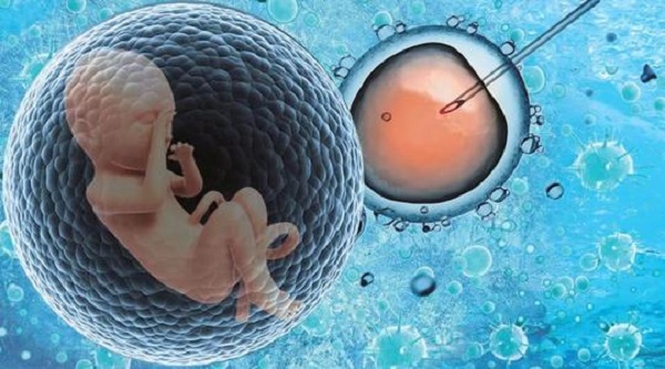 云南的女性现在生孩子还需要申请办理准生证吗