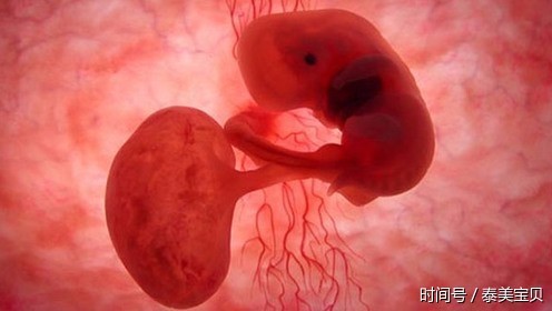 深圳做借卵二代自怀试管哪家医院好如何选择借卵做试管代怀医院