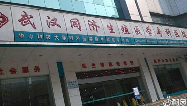 供卵做试管能不能要求直接做双胞胎