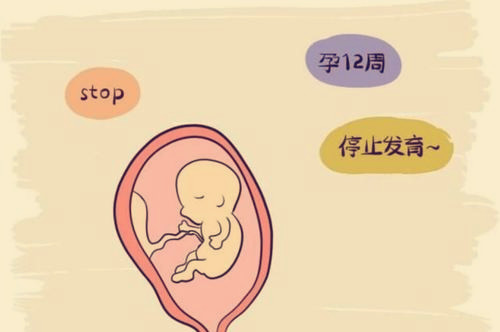 海军医院做借卵试管怎么样