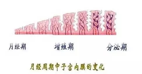 做供卵试管体重会增加吗