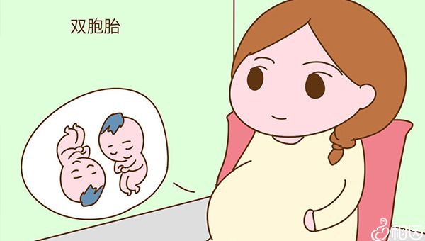 北京市借卵做试管中介排名