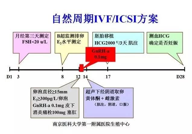 借卵做试管婴儿生出来健康吗