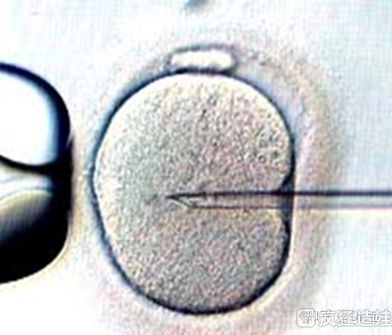 子宫有问题可以做试管吗