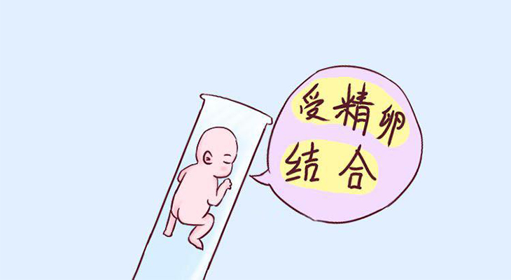 试管移植多久可以做b超看胎心胎芽