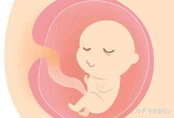 北京哪里做试管婴儿比较好