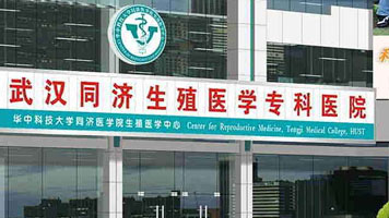 北京市试管代怀前期费用详解不要结婚证？