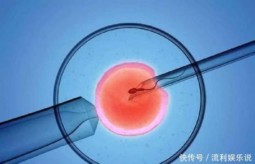 试管促排期间卵泡会自己排掉吗