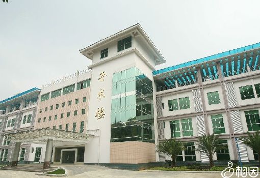 代生孩子包成功移植后成功率多少