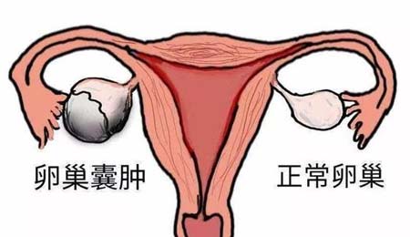 北京妇女儿童医院做试管成功率高吗？