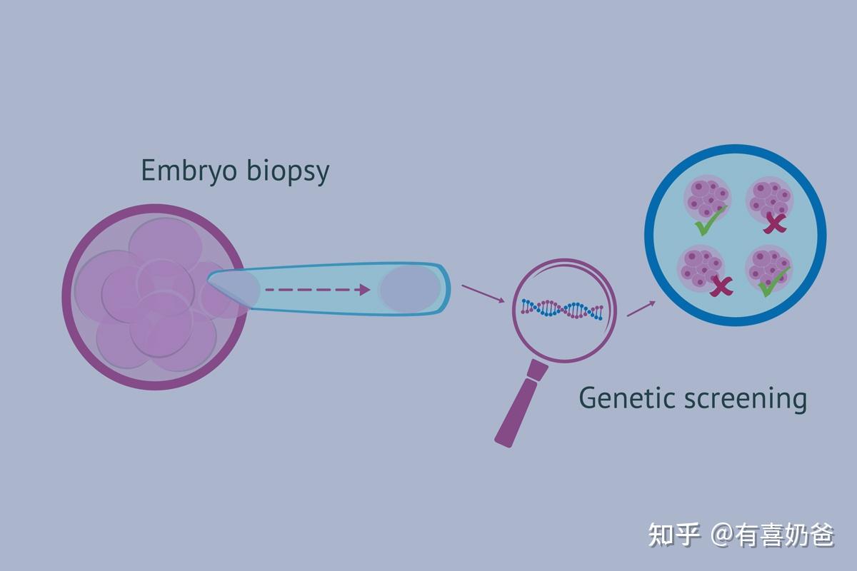 北京市做人工授精成功率比较高的医院有哪几家？
