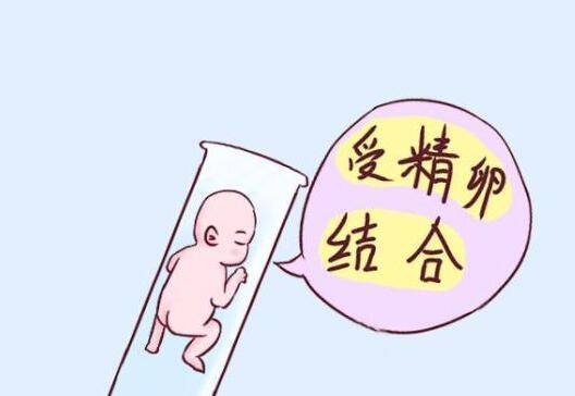 北医三院试管最好的医生