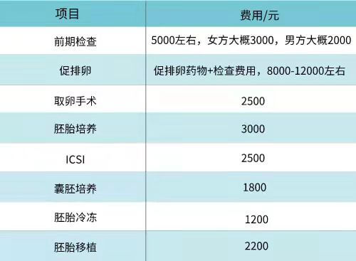 代怀生子公司详细费用定制针对性试管服务方案