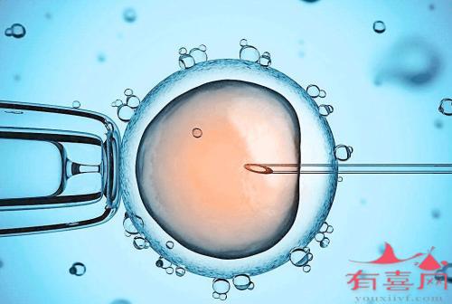 谁需要试管代怀能保证生男孩吗+赴外试管生男孩哪个国家性价比高