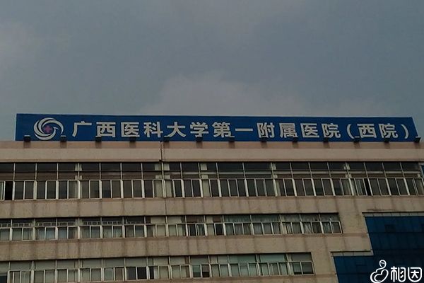 谁需要试管代怀能保证生男孩吗+赴外试管生男孩哪个国家性价比高