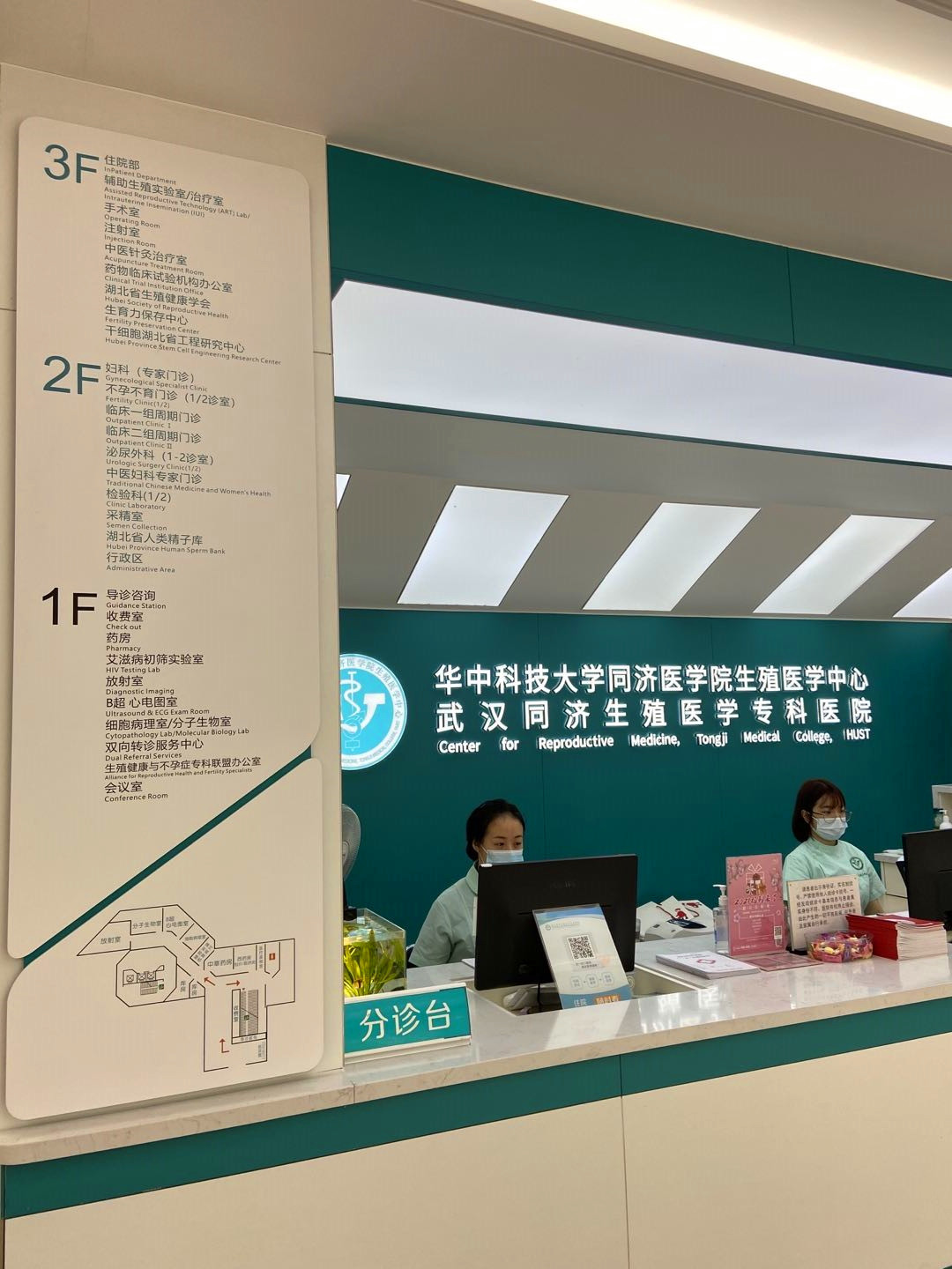 试管超长方案鲜胚移植有原因,了解这些成功几率更高
