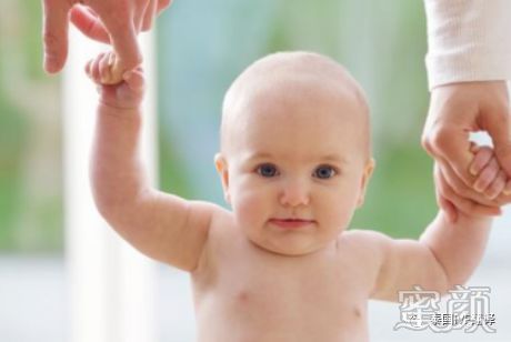 代怀多少钱包成功取卵后为什么会有无卵可用（卵子在实验室的几个阶段.）