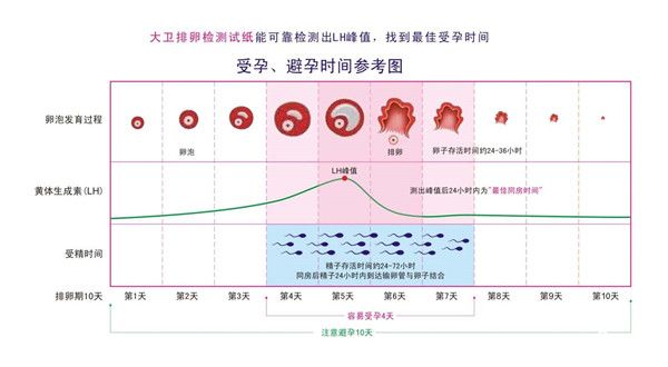 什么时候去检测卵泡合适